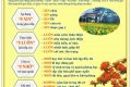THÔNG ĐIỆP NHÀ TRƯỜNG